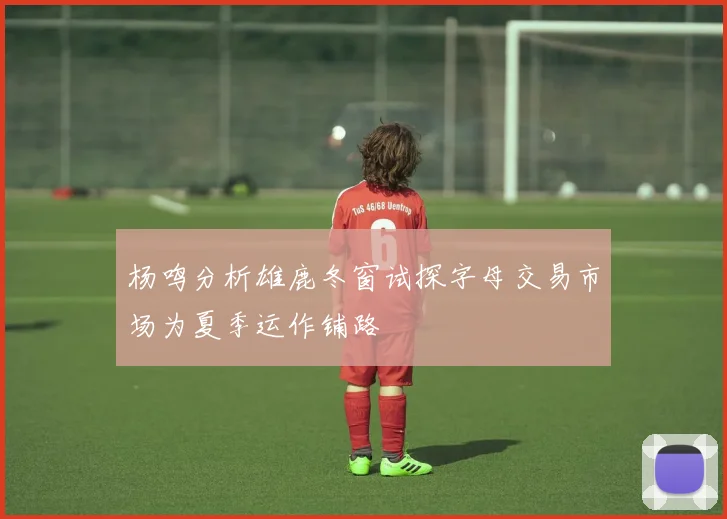 杨鸣分析雄鹿冬窗试探字母交易市场为夏季运作铺路